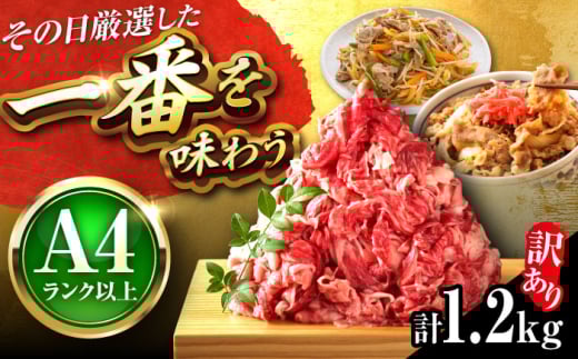 y󂠂zyA4-A5za ؂藎Ƃ 1.2kg (600g×2pbN) gx/MEAT PLUS [BGAB055] Y a uh ؂藎Ƃ Ԑg  肨Ƃ Y ؂肨Ƃ A 킯 