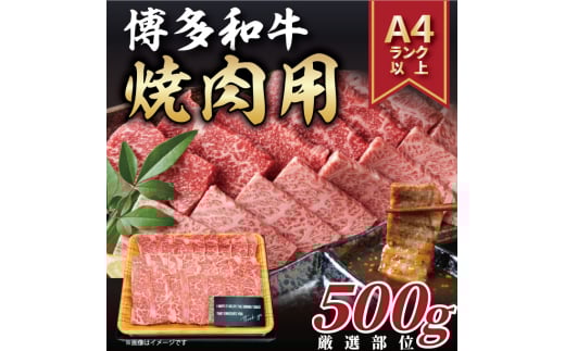 yA4`A5za ēp 500g gx/MEAT PLUS [BGAB064]   Ԑg ē Ă ēZbg ₫ɂ o [X BBQ o[xL[ Ⓚ Y lC   