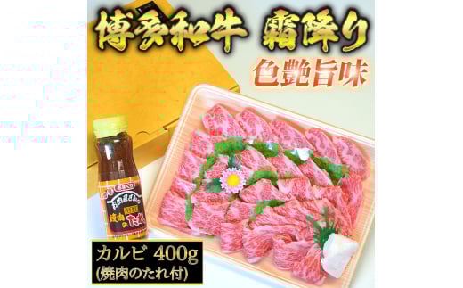 yϔzyA4`A5za Jr 400g ē̂t gx/Ѓ} [BGAC005]  Ԑg BBQ gx26000