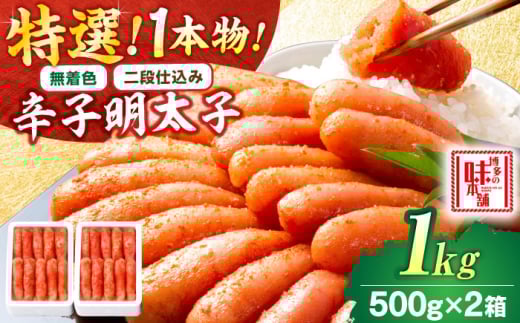 yFEid݁z I hqq 1kg 1{ gx/̖{ [BGAI010] hqq q ߂񂽂 ߂񂽂  F gx15000ECYqȆ