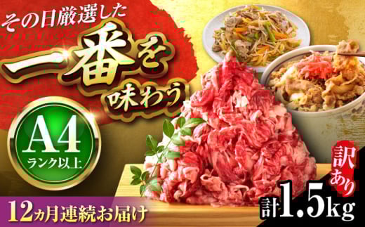 yS12ցzy󂠂zyA4`A5za ؂藎Ƃ 1.5kg(500g×3pbN) gx/MEAT PLUS [BGAB079] Y  ؂藎Ƃ 肨Ƃ  Y  јa XCX 