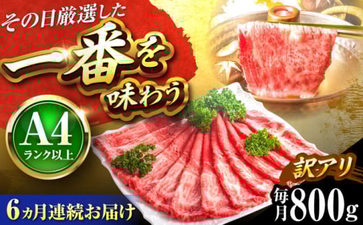 yS6ցzy󂠂zyA4`A5za Ԑg ~ Ԃ Ăp(E)800g gx/MEAT PLUS [BGAB084]  ~ јa  ₫ ~ јa Y 