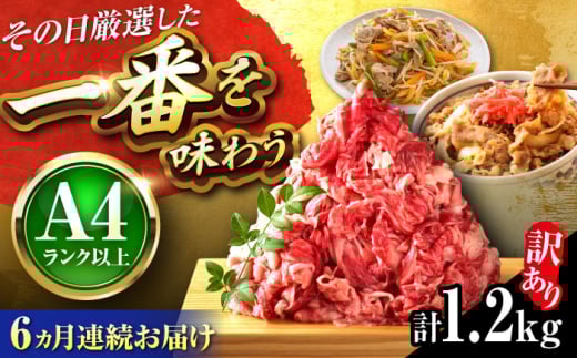 yS6ցzy󂠂zyA4~A5za ؂藎Ƃ 1.2kg(600g×2P) gx/MEAT PLUS [BGAB093] Y a uh ؂藎Ƃ Ԑg  肨Ƃgx92000