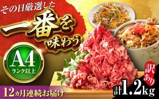 yS12ցzy󂠂zyA4~A5za ؂藎Ƃ 1.2kg(600g×2P) gx/MEAT PLUS [BGAB094] Y a uh ؂藎Ƃ Ԑg  肨Ƃgx184000