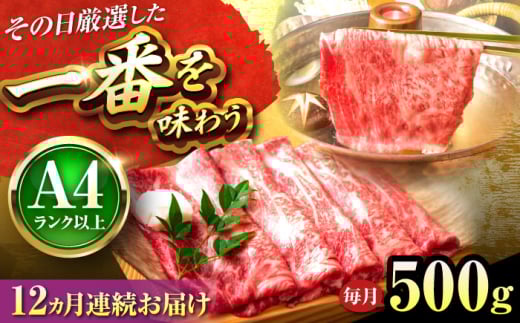 yS12ցzyA4`A5za Ԃ Ăp([XEoE)500g gx/MEAT PLUS [BGAB097] ₫ uh Ԑg Mtg Y ӂ邳 