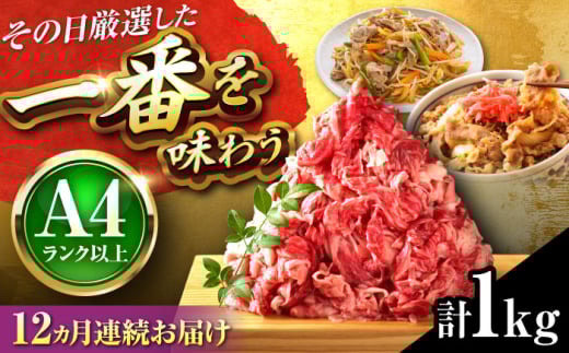 yS12ցzyA4`A5za ؂藎Ƃ 1kg(500g×2P) gx/MEAT PLUS [BGAB103]  ؂藎Ƃ Y gx162000