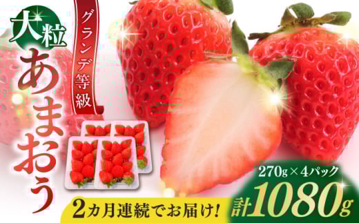 yS2ցzy2026N1{菇z ܂  1080g (270g×4pbN) gx/HSP-eNm [BGBQ003]  ܂  C`S ܂ ʕ  t[c