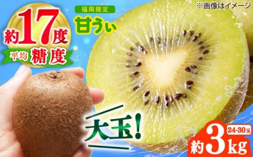 y2025N10{菇zYuhLECuÂv3kg(24-30) gx/썑t[c [BGAG018] LEBt[c ʕ t[c fU[g  ʎ Â ӂ邳Ɣ[ 