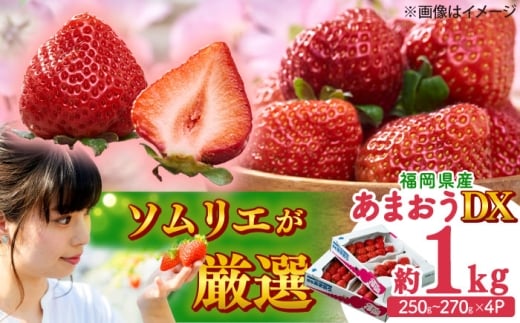 y2026N2{菇zt[c\GI񂾁ytz܂DX(fbNX)4pbN gx/썑t[c [BGAG019] ʕ t[c fU[g  C`S  ܂ lC