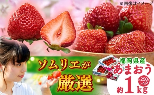 y2025N12{菇zYy~z ܂ 4pbN gx/썑t[c [BGAG027] ʕ t[c fU[g  C`S  ܂ lC  ӂ邳Ɣ[ 