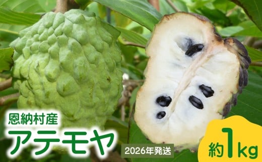 y2026Nz[YAe 1kgꌧ[10000ʕEt[c̑ ʕEt[c