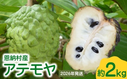 【2026年発送】恩納村産アテモヤ 約2kg沖縄県恩納村20000果物・フルーツその他 果物・フルーツ
