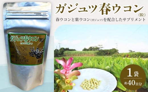 ガジュツ春ウコン(粒)1袋 (約40日分)鹿児島県与論町14000鍋セット・総菜・加工食品その他 鍋セット・総菜・加工食品