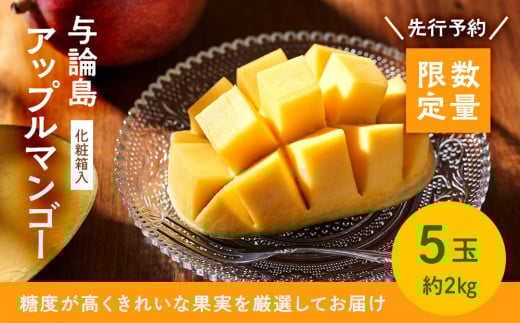 【数量限定】鹿児島 与論島アップルマンゴー特A秀品5個約2kg 化粧箱入り【先行予約】鹿児島県与論町48000果物・フルーツマンゴー・パイナップル