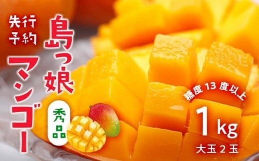 与論島産 島っ娘マンゴー(秀品)1キロ 大玉2玉 糖度13度以上【先行予約:2026年7月上旬以降発送】| 果物 フルーツ マンゴー 1kg 人気 甘い おすすめ おすすめフルーツ 期間限定 鹿児島県