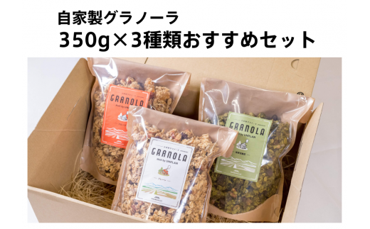 HAKUBA VALLEY ƐOm[ 350g×3 Zbg쌧J17000ZbgE؁EHHȋ ZbgE؁EHHi