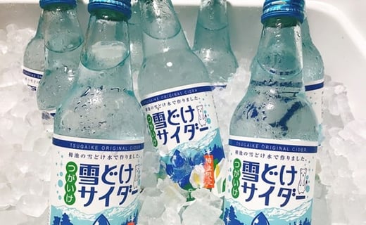 雪どけサイダー20本セット 340ml×20本長野県小谷村14000お茶・飲料その他 お茶・飲料