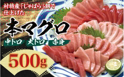 本マグロ(養殖)トロ&赤身セット 500g 【1ヶ月以内に発送】【配達日指定不可】まぐろ マグロ 鮪 中トロ 赤身 柵【nks110D】和歌山県北山村23000魚介・海産物鮮魚