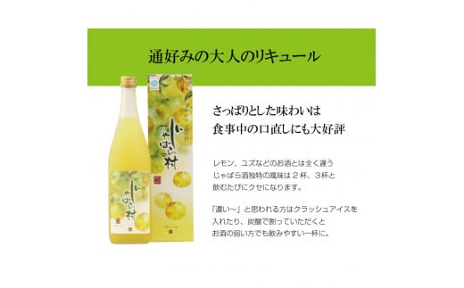 じゃばらのお酒 じゃばら村 720ml×2本(芳醇タイプ) 【njb441】和歌山県北山村13000酒・アルコールウイスキー・洋酒・リキュール