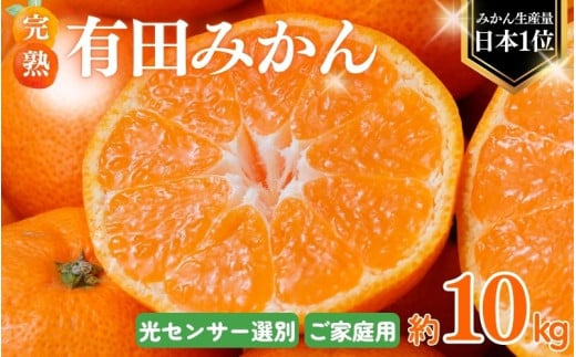 【2025年12月発送予約分】\光センサー選別/ 農家直送 こだわりの 完熟 有田みかん 約10kg+250g(傷み補償分) 【ご家庭用】【12月発送】 有機質肥料100% 有田みかん みかん ミカン 蜜柑 柑橘 果