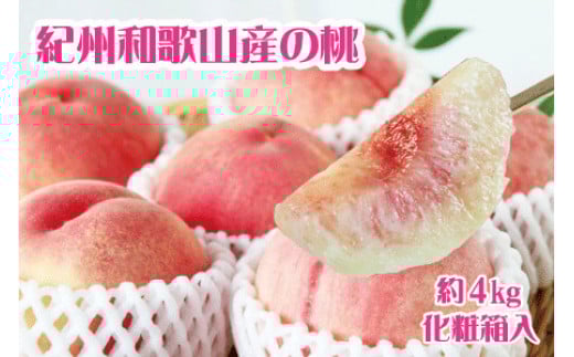 紀州和歌山産の桃 約4kg 化粧箱入※2026年6月下旬頃〜2026年8月上旬頃順次発送(お届け日指定不可)【uot723A】和歌山県北山村28000果物・フルーツもも・すもも