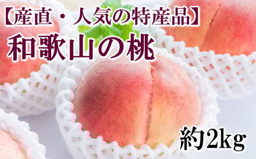 【産直・人気の特産品】和歌山の桃 約2kg・秀品 ※2026年6月下旬〜2026年8月上旬頃順次発送【tec910B】和歌山県北山村18000果物・フルーツもも・すもも