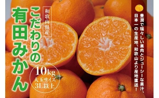 \光センサー選別/ 【農家直送】有田みかん 約10kg  大玉3L以上 有機質肥料100% ※2025年12月初旬〜12月末に順次発送(お届け日指定不可) / みかん 大玉 蜜柑 有田 柑橘 フルーツ 果物 くだもの 12