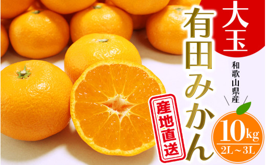 \ みかんの名産地 和歌山県産/ 農家直送 大玉 有田みかん 10kg (2L〜3L) ひとつひとつ手選別で厳選【2025年11月下旬〜1月中旬ごろに順次発送予定】 | みかん フルーツ 果物 くだもの 有田み