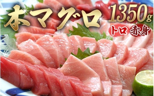 【串本町×北山村】本マグロ(養殖)トロ&赤身セット1350g 【12月発送】【nks111-12】和歌山県北山村53000魚介・海産物鮮魚