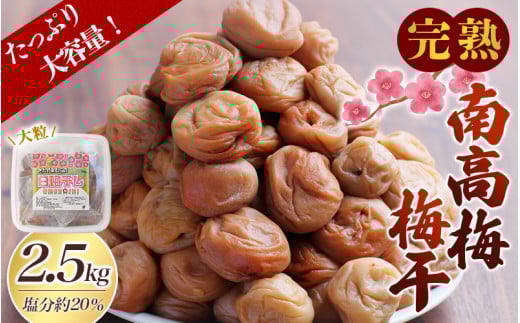 yʌzn썂~ ~ 2.5kg (1.25kg×2pbN)  20 SY TCY ƒp y2025N9蔭\z / ~  E ~ ~ 썂~   ~ ~