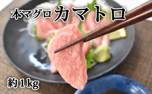 【数量限定】本まぐろカマトロ1kg 本マグロ 本鮪【nks602】和歌山県北山村33000魚介・海産物鮮魚