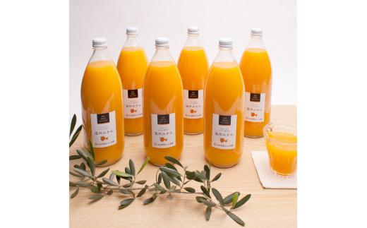 YELc݂100%Xg[gW[X1000ml×6{yikd110Aza̎RkR19000Eʏ`E؈