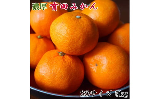 【秀品】 和歌山 有田みかん 5kg(2Sサイズ)※着日指定不可 ※北海道・沖縄・離島への配送不可 ※2025年11月中旬〜2026年1月中旬頃に順次発送予定【tec886A】和歌山県北山村13000果物・フルーツ