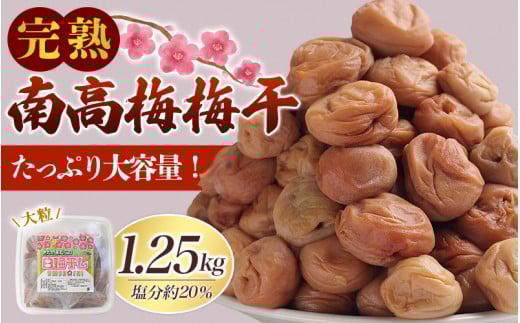 yʌzn썂~ ~ 1.25kg 20 SY TCY ƒp y2025N9蔭\z / ~  E ~ ~ 썂~   ~ ~ n 嗱 Y