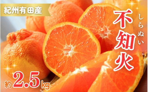 【先行予約】紀州有田産不知火(しらぬひ) 2.5kg ※2026年2月中旬頃〜2026年3月中旬頃に順次発送予定(お届け日指定不可)/ みかん 不知火 和歌山 フルーツ 有田【uot794】和歌山県北山村10000果物