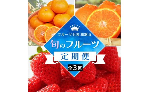 【全3回定期便】フルーツ大国和歌山よりお届け!旬のフルーツ定期便A【田村みかん・まりひめ・紀州デコ】 / フルーツ 果物 みかん いちご  旬 定期便  【tkb350】和歌山県北山村44000果物・フ