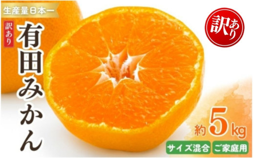 紀州有田みかん 訳あり 約5kg キズ ご家庭用 サイズ混合 ※2025年11月下旬〜2026年1月中旬頃より順次発送予定 ※北海道・沖縄・離島配送不可 | みかん ミカン 蜜柑 フルーツ 果物 くだもの