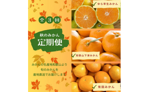 【3か月定期便】みかんの名産地和歌山発!秋のみかん定期便♪ゆら早生みかん・下津みかん・有田みかん【tkb362】和歌山県北山村41000果物・フルーツみかん・柑橘類