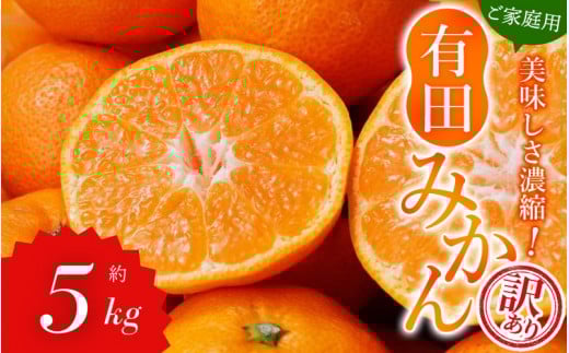 【訳あり】農家直送 有田みかん 約5kg ご家庭用 サイズ混合 ※2025年11月中旬より順次発送予定(お届け日指定不可)※北海道・沖縄・離島への配送不可 訳ありみかん みかん ミカン 蜜柑 柑