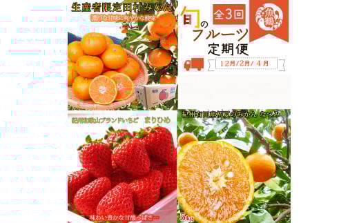 【全3回】紀州和歌山産旬のフルーツ定期便 (田村みかん・いちご・なつみ) 【tkb374】和歌山県北山村45000果物・フルーツみかん・柑橘類