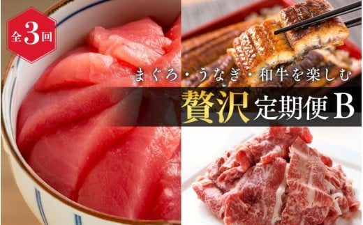 【全3回】まぐろ・うなぎ・和牛を楽しむ贅沢定期便B / 鮪 マグロ 刺身 鰻 ウナギ 蒲焼 熊野牛 肉 牛肉 和牛 黒毛和牛 赤身 こま切れ 【tkb387】和歌山県北山村72000肉牛肉