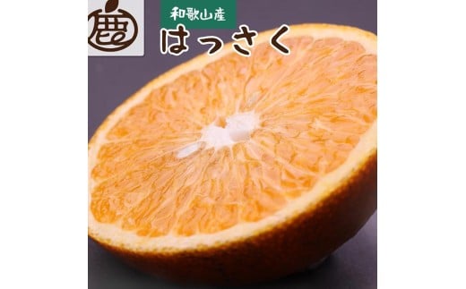 <先行予約>厳選はっさく2.5kg+250g(傷み補償分)【八朔みかん】<1月より発送>※北海道・沖縄・離島への配送不可【ikd138A】和歌山県北山村7000果物・フルーツみかん・柑橘類