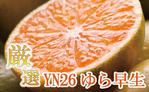 ys\zv~ALc݂ 10kg+250giݕ⏞j 10蔭(瑁) kCEEzs / a̎R Lc ݂ ~J k ʕ t[c Lc݂ yikd213za