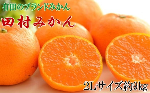 【ブランドみかん】田村みかん大玉約9kg(2Lサイズ) ※2025年11下旬〜2025年12月下旬頃に順次発送 【tecj1037】和歌山県北山村16000果物・フルーツみかん・柑橘類