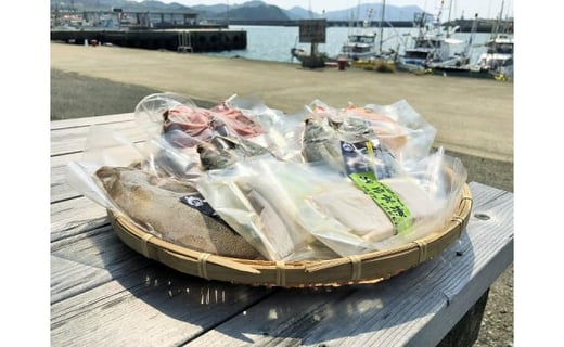 プレミアムフィッシュ加工の干物セット福岡県福岡市10000魚介・海産物干物