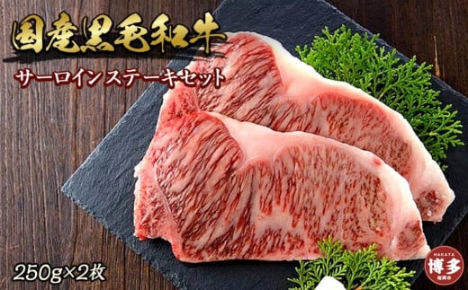 博多和牛サーロインステーキセット 500g(250g×2枚)福岡県福岡市15000肉牛肉