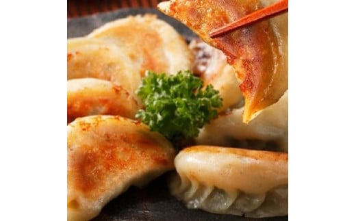 【博多のおみやげ 中華工房 点心点】博多一口餃子、黒豚焼餃子、点心包子、特製 餃子のタレ付き福岡県福岡市15000鍋セット・総菜・加工食品総菜