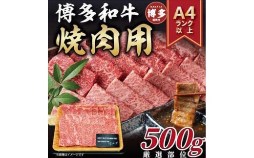 博多和牛焼肉用 500g福岡県福岡市11000肉牛肉