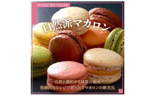 【定期便 3回 毎月お届け】自然派マカロンコフレ・マカロン10個入り全3回お届け/木苺、抹茶、塩キャラメル、ショコラアメール、柚子、ブラッドオレンジ、コーヒーとミルクチョコレート