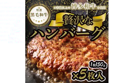【極】博多和牛入りハンバーグ(150g×5個)福岡県福岡市14000肉牛肉